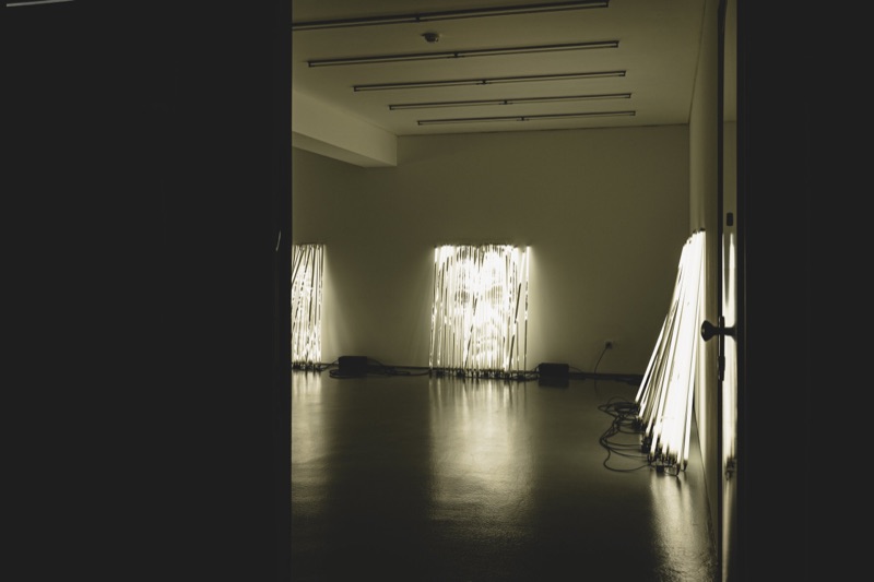 Installation view of Diafragma at Galeria Vera Cortês, Lisbon